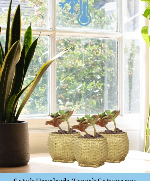 Mini Çiçek Saksı Küçük Sukulent Altın Kaktüs Saksısı 3lü Set Sepet Örgü Model